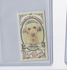 COLLECTIBLE CANINES 2019 ALLEN & GINTER YELLOW LABRADOR MINI PARALLEL INSERT