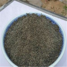 Psoralea corylifolia Powder / Bakuchi / Bavchi / Babchi FREE SHIPPING 500gm