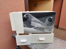 Soffiasemi depolverizzatore rivoluzionario 