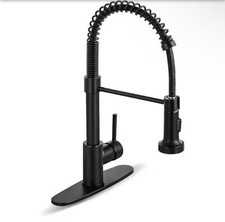 AKLFGN 1-Handle Pull Down Sprayer Kitchen Faucet Spring