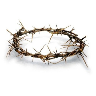 Holy Land Imports Passion of Christ Crown 17 cm x 20 cm, Golden
