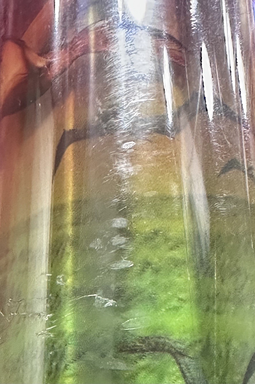 Picture 12 of 14