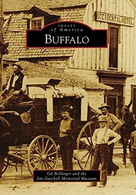 Buffalo by Gil Bollinger and Jim Gatchell Memorial Museum (2009, Trade ...