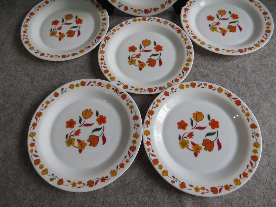 6 assiettes plates arcopal motif floral vintage - Photo 2/4