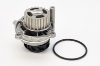 Continental Ctam Wasserpumpe MotorküHlung WP6010 FüR VW Golf Plus 5 5M1 521 1K1