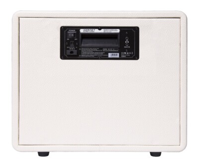 Mooer Hornet White 30W Guitar Amplifier - White | eBay