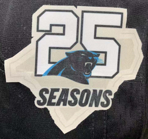 carolina panthers 25th anniversary jersey