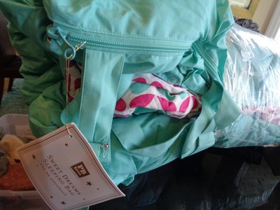 Pottery Barn Teen Pintuck Pretty Petals Sleeping Bag Pool Mono Phc