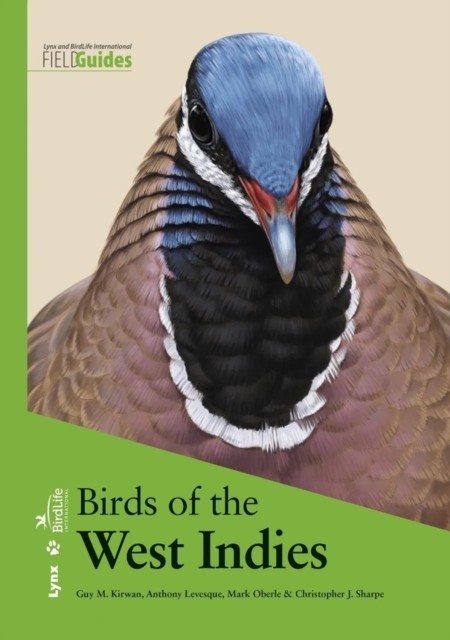 Birds of the West Indies by Anthony Levesque (Hardback Book)