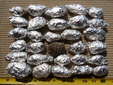 30 LARGE STERILIZED BARN OWL PELLETS