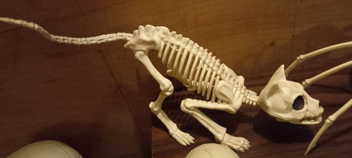 🎃11 SKELETON ANIMAL FIGURE LOT- HALLOWEEN- GOTH- HORROR- SKELETON🎃 - Picture 9 of 12