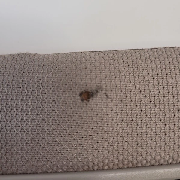 2003-2008 Nissan 350Z Sun Visor Pair Gray Cloth w/Mirror Light Set of 2 OEM - Image 3 of 4