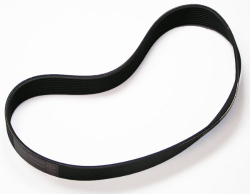 Cinturón de repuesto original Dewalt OEM, 153555-00 - Imagen 1 de 3