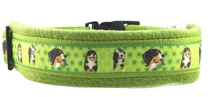 Halsband Berner Sennenhund online kaufen | eBay.de