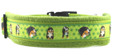 hundebett allergiker milben Hundebett Einlage MUMIN Cord- Orthopädisch & kuschelig main image 0