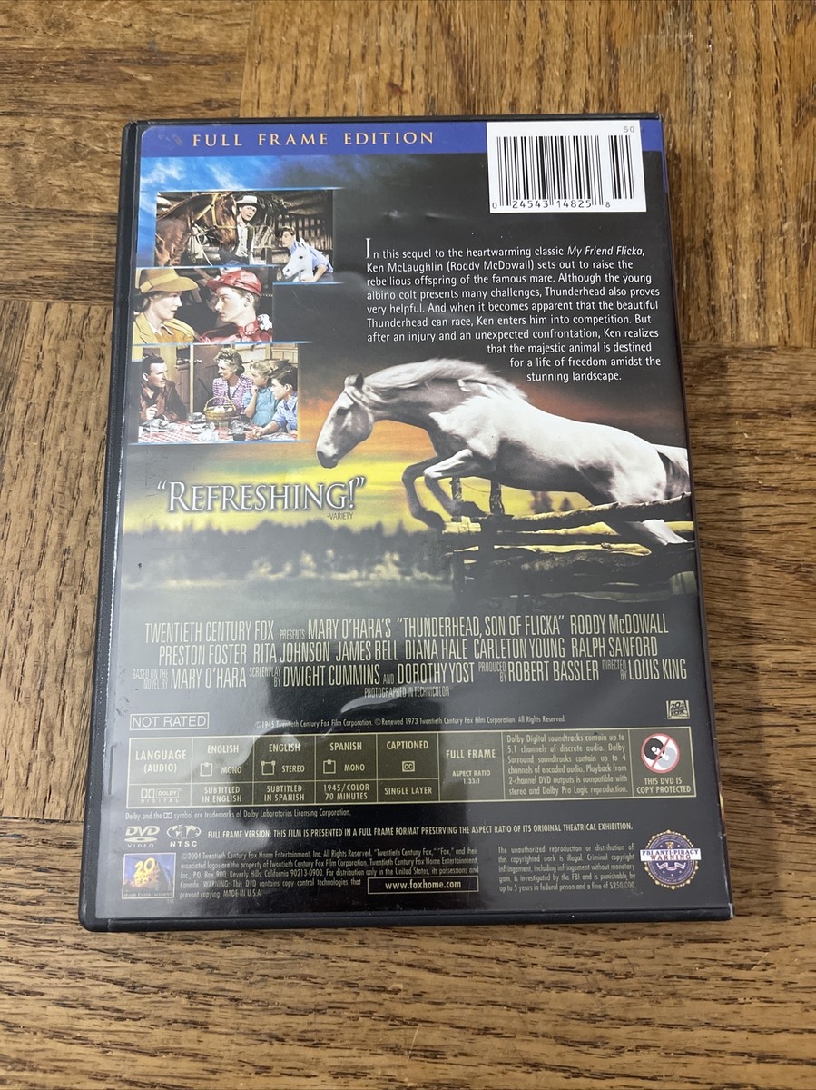 DVD D’ERLANGER / KIDS BLUE STANDING 2014 fc_2011_2.jpg