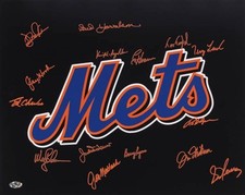 NY METS MULTI SIGNED IN ORANGE 16x20 PHOTO JAY HOOK TERRY LEACH JON MATLACK +12