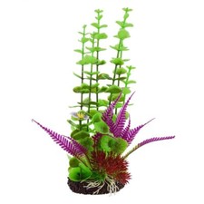 RA Underwater Treasures Rotala Purple Fern