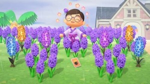 animal crossing hyacinth lamp