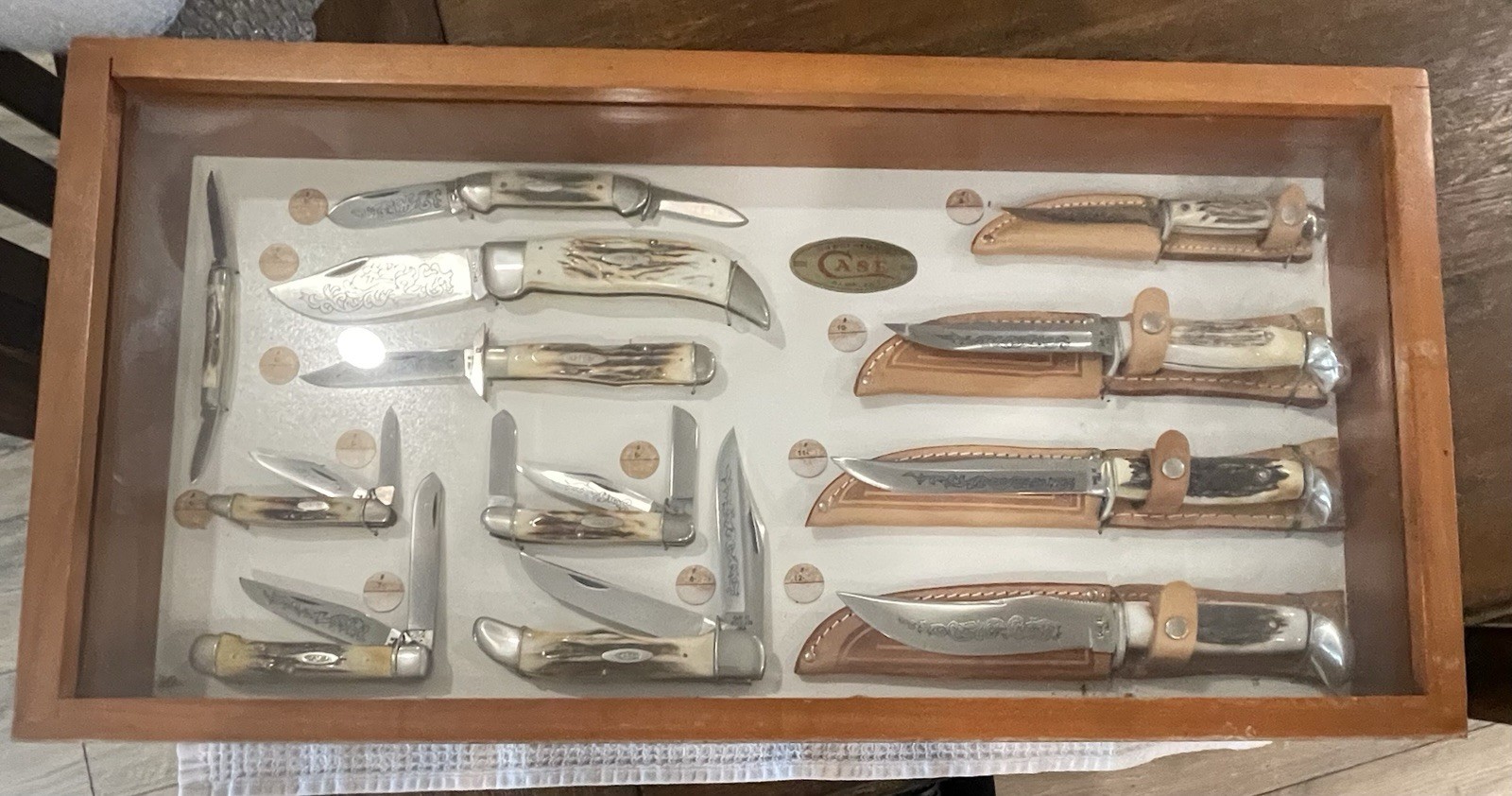 CASE XX 1977 Blue Scrolled Stag 12 Piece Dealer Display! Never Opened. MUST SEE