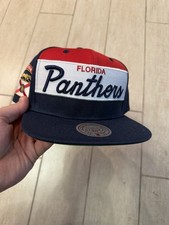 Florida Panthers Snapback Hat Mitchell Ness Script Colorback Navy NHL Hockey