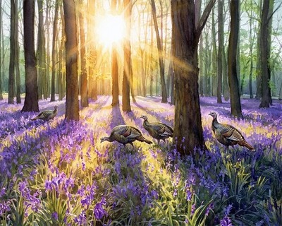 ''Golden Hour in the Bluebells'' Wild Turkeys  Art Print. FREE Shipping. 0673