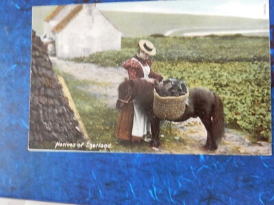 POSTKARTE P10 B23 SHETLAND CROFT CROFTER PONY TORFS  