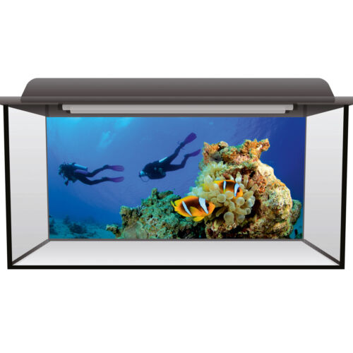 Fish Tank Background 90x45cm Static Cling - Scuba Diving Fluval Juwel #0001 - Afbeelding 1 van 2