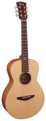 Faith Naked Series Mercury Parlour Akustikgitarre (NEU)