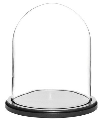 Plymor 8'' x 10.25'' Glass Display Dome Cloche (Black MDF Wood Base)