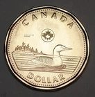 Canada 2025 BU 1 Dollar Canadian Loonie Uncirculated From Mint Roll