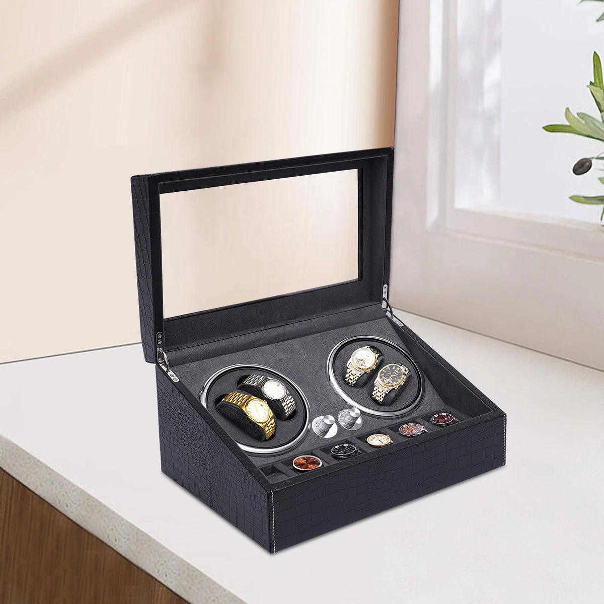Watch Winder Display Matttroy