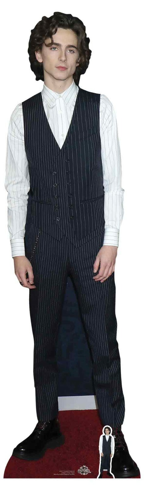 Timothee Chalamet Waistcoat Style Lifesize and Mini Cardboard Cutout / Standee