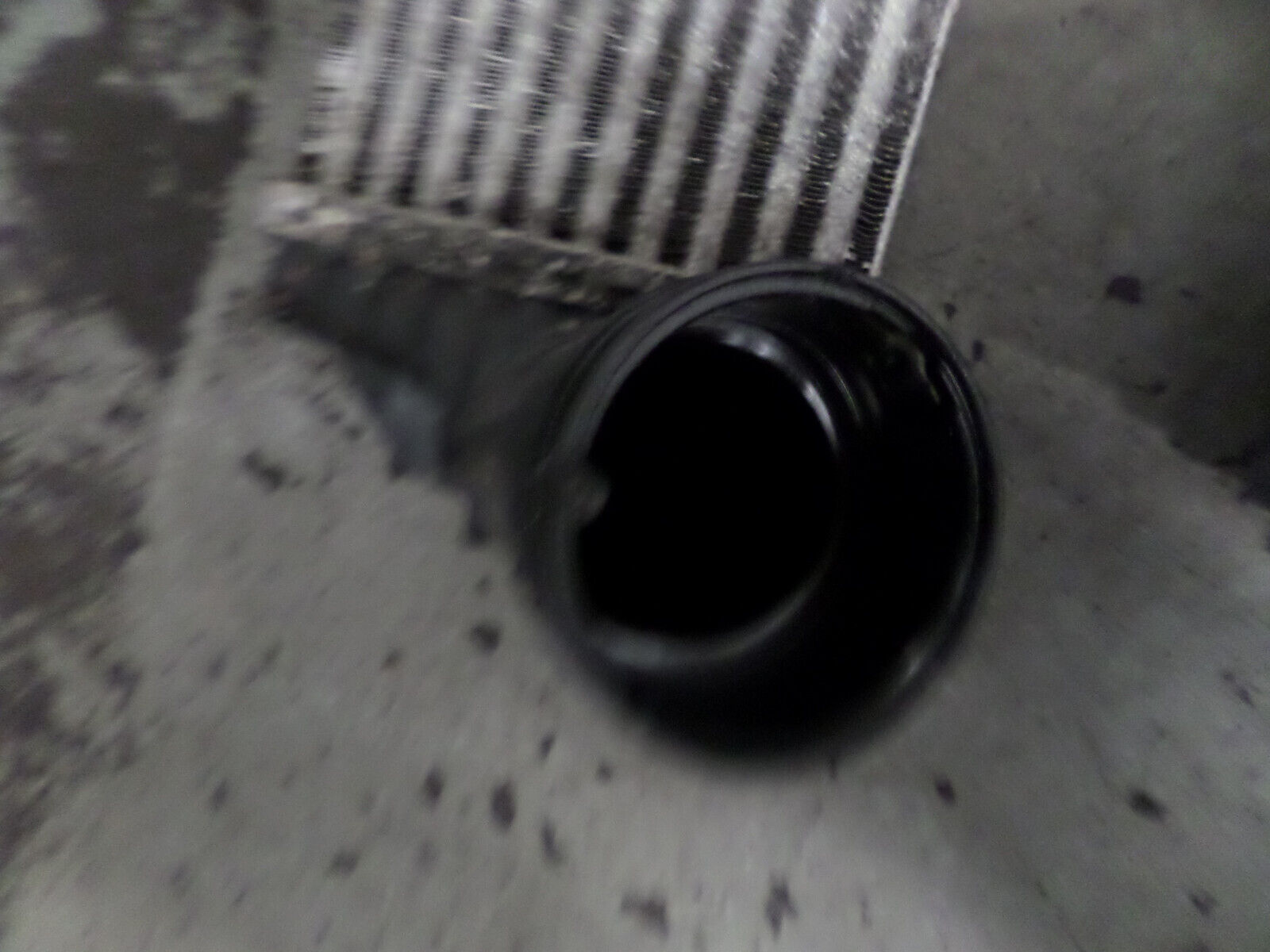 Picture 6 of 6