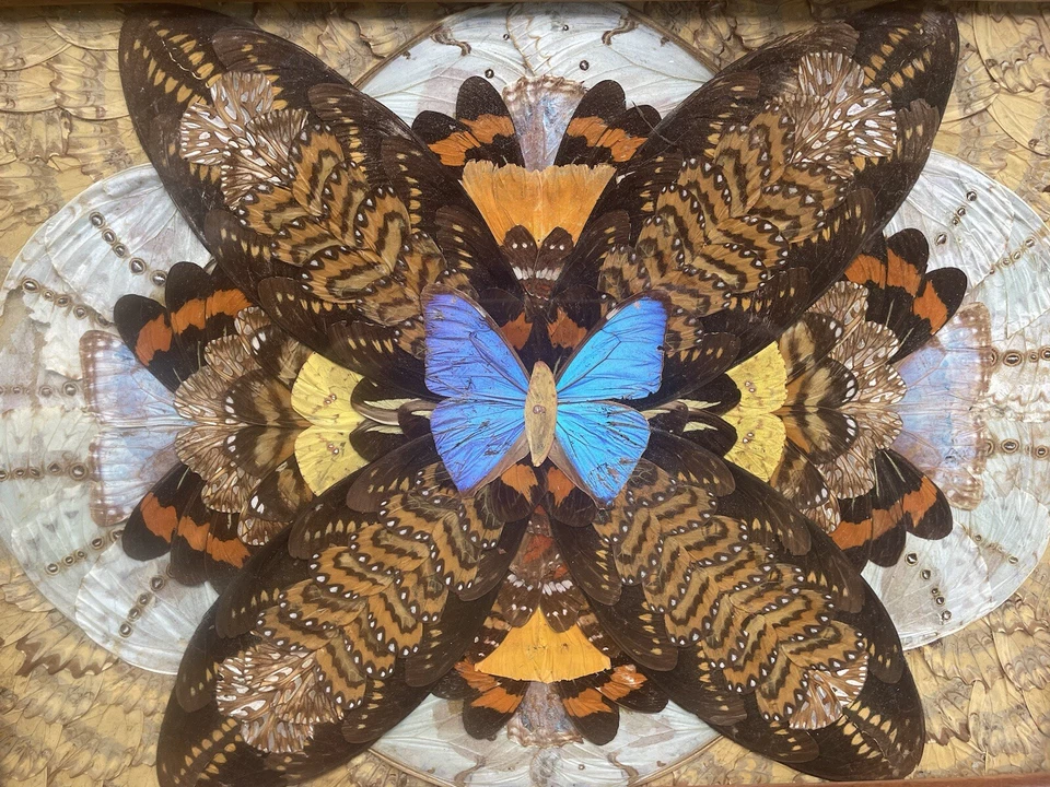 ANTIGA bandeja de servir 1920’s Art Deco prato serviço coquetéis taxidermia X1 - Imagem 4 de 4