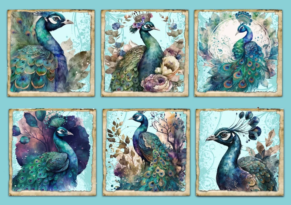 CREATION ART Peacock Card Toppers Cardmaking & Scrapbooking, Ephemera, Gift Tags topper