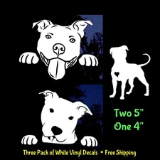 Pitbull Bully Three Pack 5" White Vinyl Decals Car Truck Windows laptop