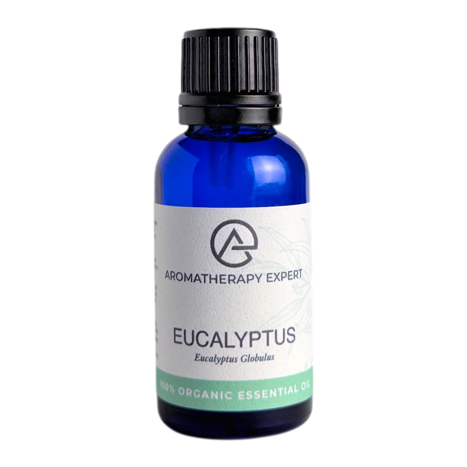 Organic Eucalyptus Essential 30ml Supersize Pure Aromatherapy Expert UK