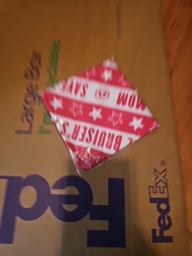 LEGAL BLOND 2 ALAMO ZUGHOUSE Save Bruiser Stirnband Taschentuch - Bild 7 von 7