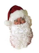 Wig and Beard Adult Santa Set One Size, Multi-colored