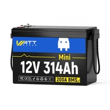 12V 300Ah 314Ah Mini LiFePO4 Lithium Battery 200A BMS Solar Power RV off-grid