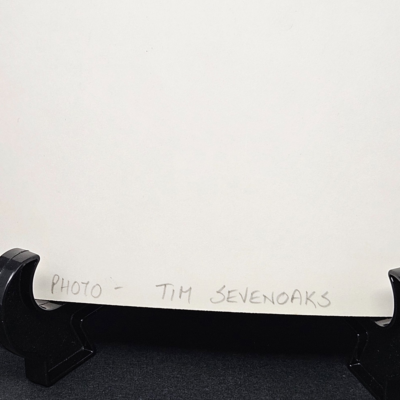 RARE Alex Van Halen 8x10 Photo South Africa Press Interview Feldman Sevenoaks