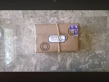 GRAIL DIARY INDY MAGNOLI STORY VERSION