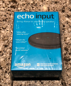echo input ebay