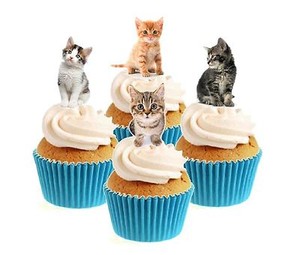 Nouveaute Mignon Chaton Mix 12 Comestible Stand Up Plaquette Papier Gateau Toppers Anniversaire Chat Ebay