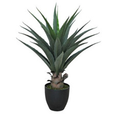 Artificial Yucca Plant 70cm Green in Black Plastic Pot - Indoor Maintenance Free