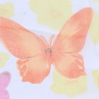 Foto 13 di 22