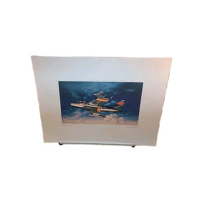 Glory In The Sun By Harley F. Copic USAF 2001 Lithograph 17''H X 23''W