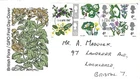 24/04/1967 GB FDC - British Flora - First Day Covers - Flowers