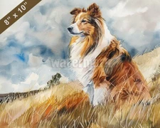 Shetland Sheepdog watercolor painting in a hilly pasture 8x10 Print 
